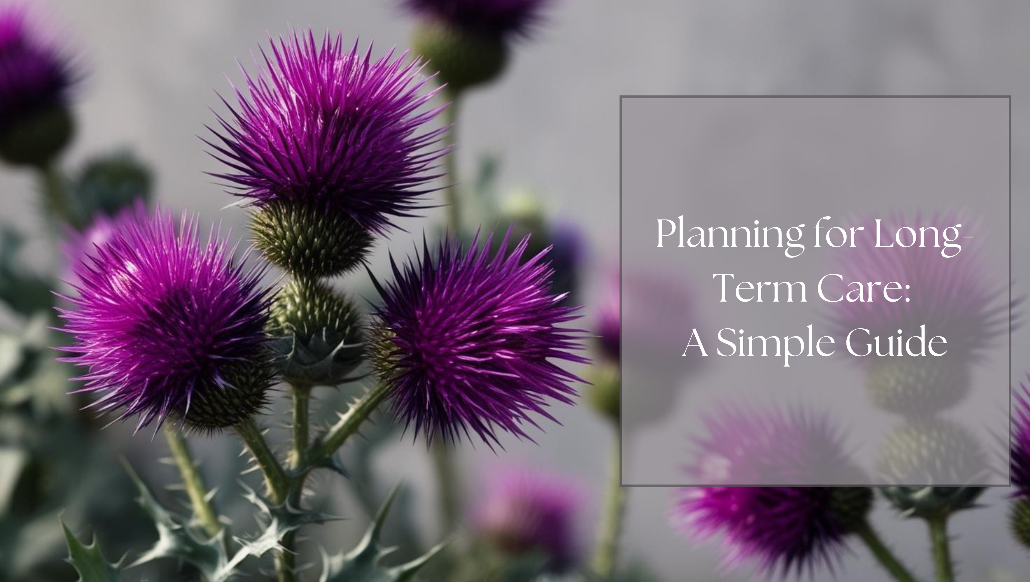 Getting to Know Ellen Johnson, Founder of Thistle Wealth