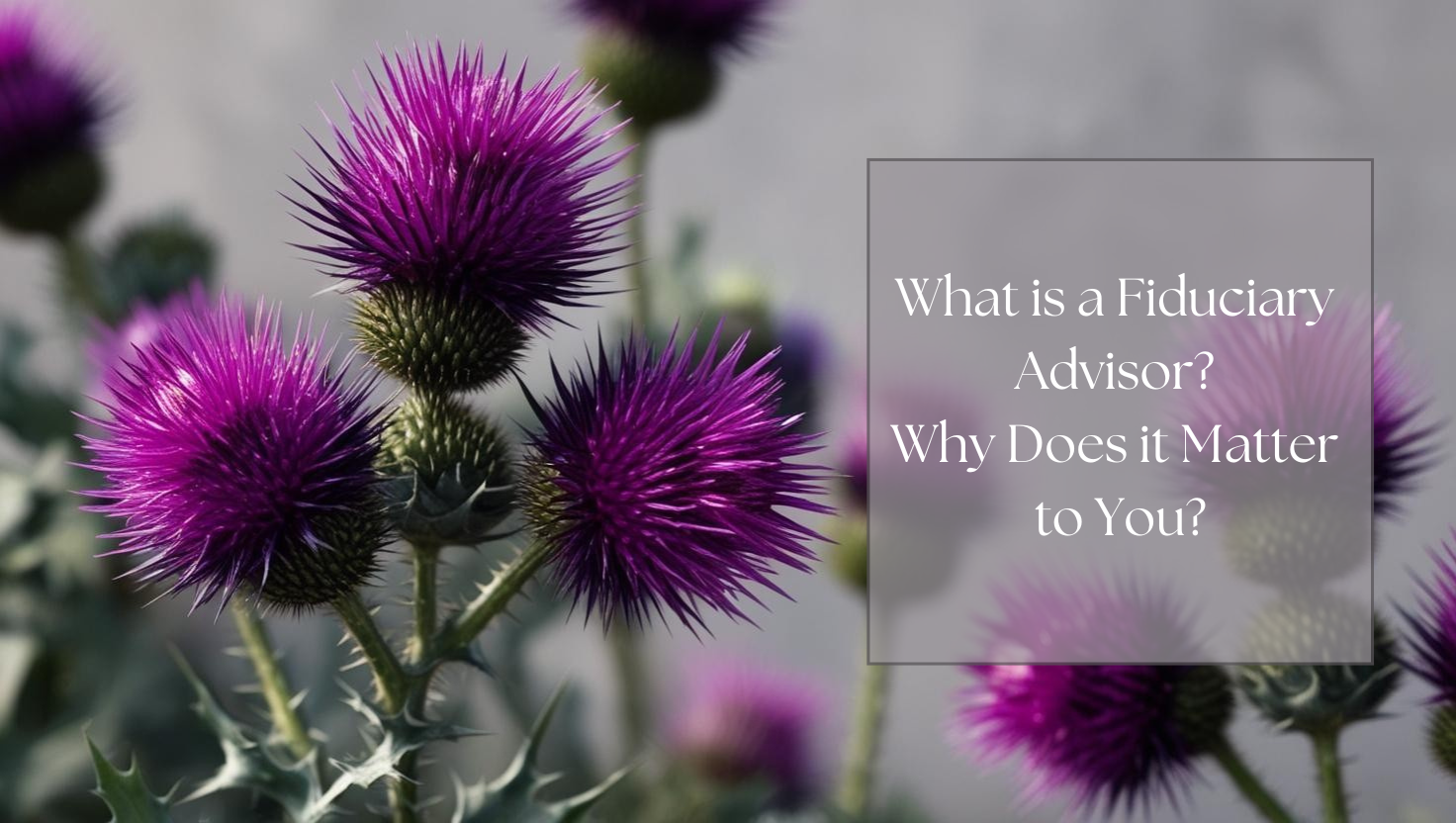 What Is a Fiduciary Advisor and Why Does It Matter for Your Financial Future?